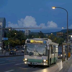 偷拍美女尿尿拉屎黄片
