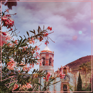 偷拍美女尿尿拉屎黄片
